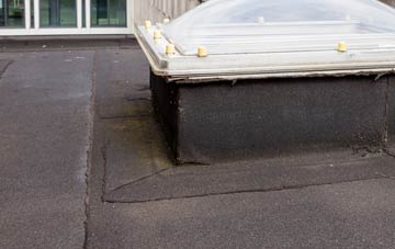disadvantages of Feriniquarrie flat roofs